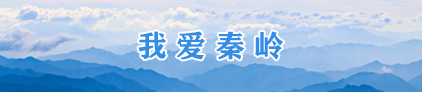我愛秦嶺